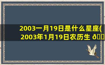 2003一月19日是什么星座(2003年1月19日农历生 🐺 日是什么时 🕊 候)
